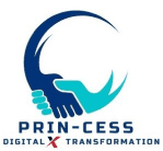 princessdigitalxtransformation ,